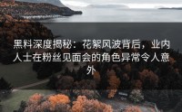 黑料深度揭秘：花絮风波背后，业内人士在粉丝见面会的角色异常令人意外
