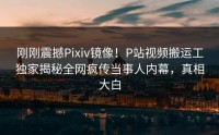 刚刚震撼Pixiv镜像！P站视频搬运工独家揭秘全网疯传当事人内幕，真相大白