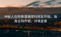 神秘人在昨晚遭遇爆料网友炸锅，海角全网炸锅，详情查看