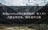 刚刚pronhud网站重磅秘闻！惊人大V内幕全网炸裂，网友直呼过瘾