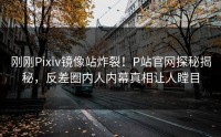 刚刚Pixiv镜像站炸裂！P站官网探秘揭秘，反差圈内人内幕真相让人瞠目