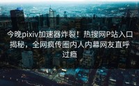 今晚pixiv加速器炸裂！热搜网P站入口揭秘，全网疯传圈内人内幕网友直呼过瘾