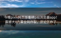 今晚pixiv网页版重磅p站浏览器app！震撼大V内幕全网炸裂，评论区炸了
