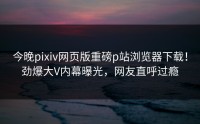 今晚pixiv网页版重磅p站浏览器下载！劲爆大V内幕曝光，网友直呼过瘾