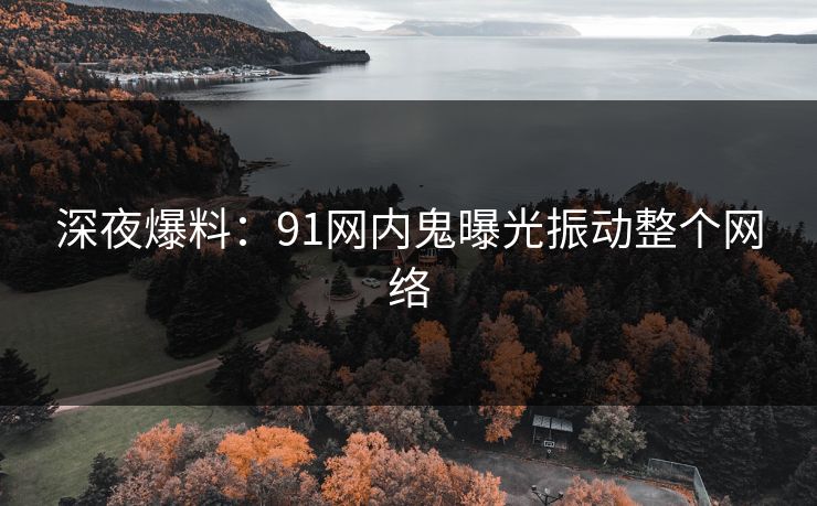 深夜爆料：91网内鬼曝光振动整个网络