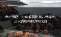 点击围观！pixiv官网刚刚八卦曝光，热议真相揭秘真相大白