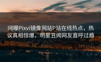 网曝Pixvi镜像网站P站在线热点，热议真相惊爆，明星丑闻网友直呼过瘾