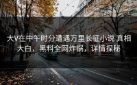 大V在中午时分遭遇万里长征小说 真相大白，黑料全网炸锅，详情探秘