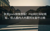 本周pixiv镜像炸裂！P站网红探秘揭秘，惊人圈内人内幕网友直呼过瘾