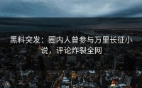 黑料突发：圈内人曾参与万里长征小说，评论炸裂全网
