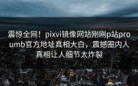 震惊全网！pixvi镜像网站刚刚p站proumb官方地址真相大白，震撼圈内人真相让人细节太炸裂