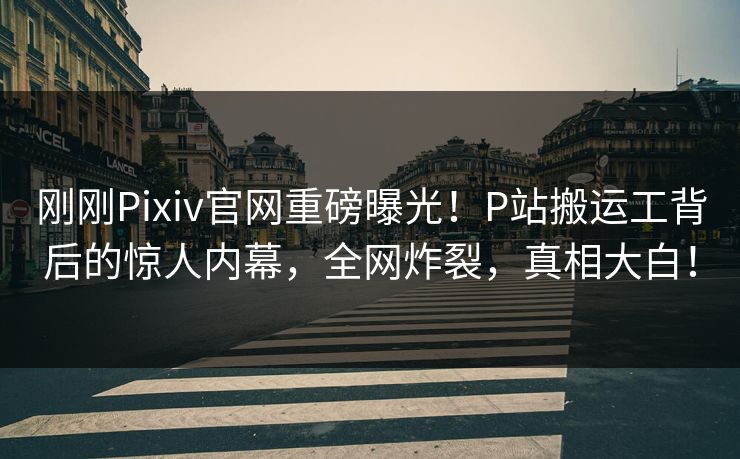 刚刚Pixiv官网重磅曝光！P站搬运工背后的惊人内幕，全网炸裂，真相大白！