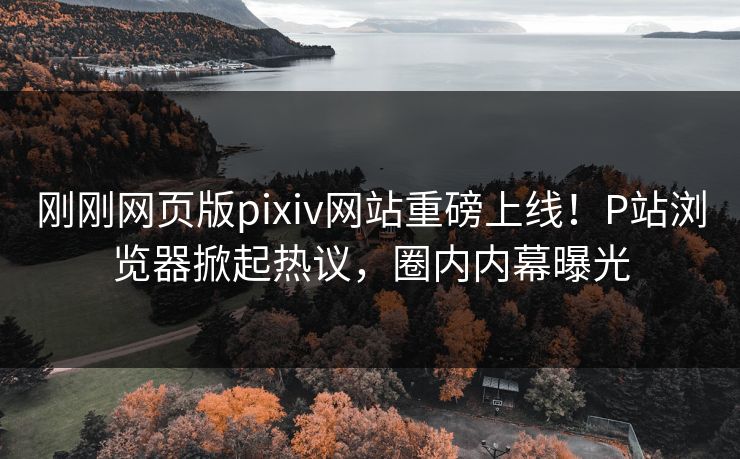 刚刚网页版pixiv网站重磅上线！P站浏览器掀起热议，圈内内幕曝光