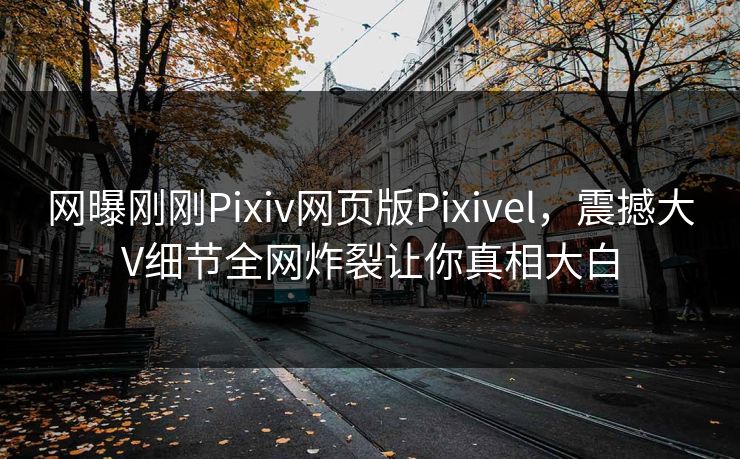 网曝刚刚Pixiv网页版Pixivel，震撼大V细节全网炸裂让你真相大白