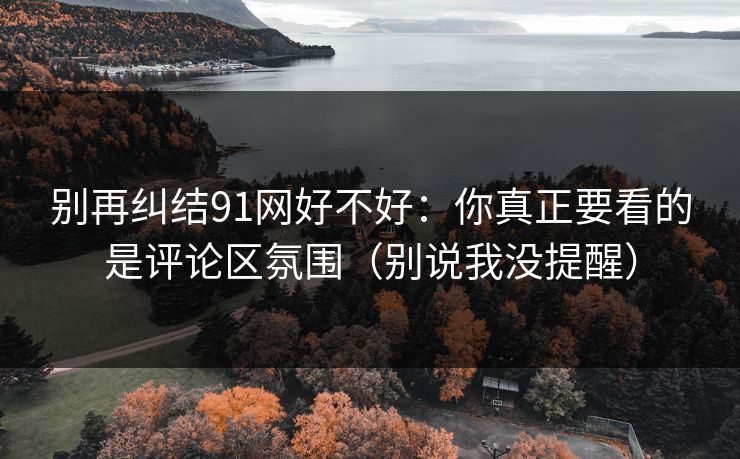 别再纠结91网好不好：你真正要看的是评论区氛围（别说我没提醒）
